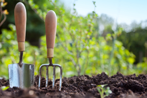 Gardening: Resources for the ABQ Gardener
