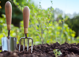 Gardening: Resources for the ABQ Gardener