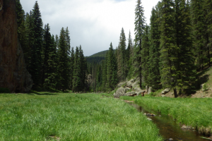 Jemez