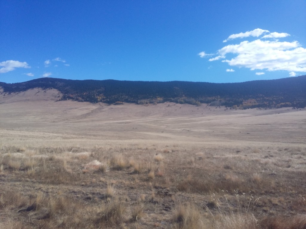 Keeping New Mexico Green: A Trip to Comanche Creek with Coca Cola Co. Albuquerque Moms Blog