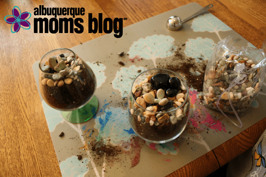 DIY mini succulent terrarium albuquerque moms blog