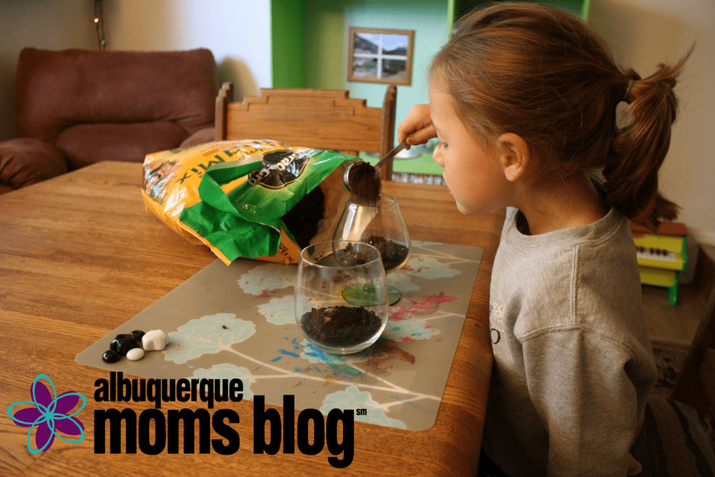 DIY mini succulent terrarium albuquerque moms blog