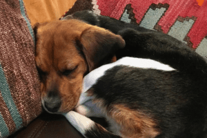 bad day ABQ Moms Blog 2