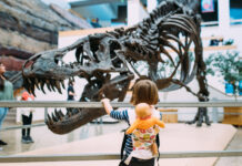 4 Budget-Friendly Family Activities In and Around Albuquerque 4 Budget-Friendly Family Activities In and Around Albuquerque