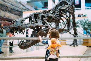 4 Budget-Friendly Family Activities In and Around Albuquerque