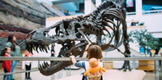 4 Budget-Friendly Family Activities In and Around Albuquerque 4 Budget-Friendly Family Activities In and Around Albuquerque