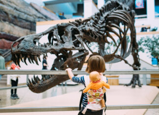 4 Budget-Friendly Family Activities In and Around Albuquerque 4 Budget-Friendly Family Activities In and Around Albuquerque