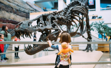 4 Budget-Friendly Family Activities In and Around Albuquerque 4 Budget-Friendly Family Activities In and Around Albuquerque