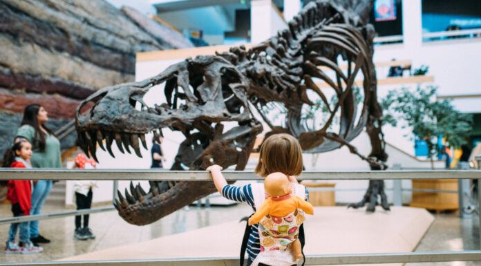4 Budget-Friendly Family Activities In and Around Albuquerque 4 Budget-Friendly Family Activities In and Around Albuquerque