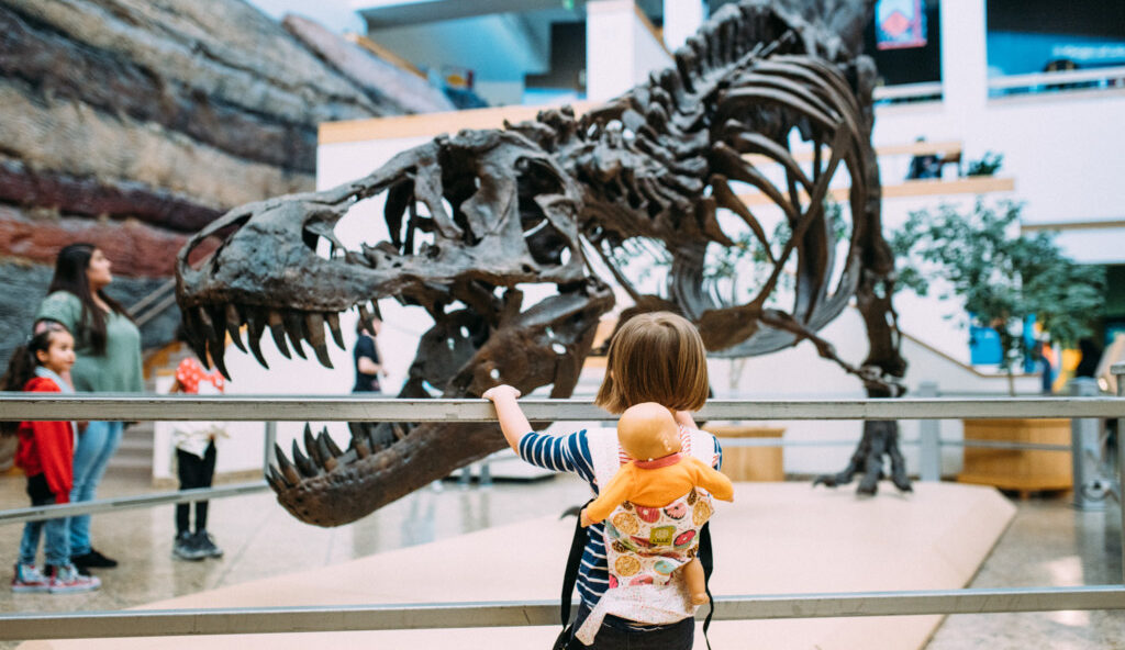 4 Budget-Friendly Family Activities In and Around Albuquerque