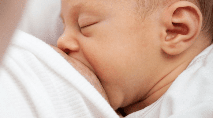 Nursing :: I Breastfed in Public…and Nothing Happened Nursing :: I Breastfed in Public...and Nothing Happened