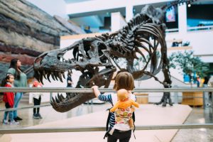 4 Budget-Friendly Family Activities In and Around Albuquerque