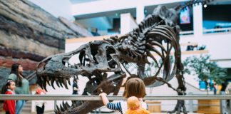 4 Budget-Friendly Family Activities In and Around Albuquerque 4 Budget-Friendly Family Activities In and Around Albuquerque