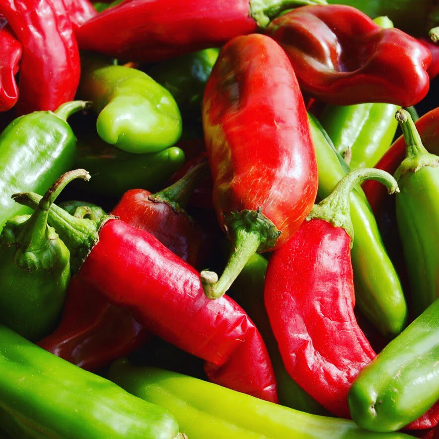 red & green chile | Albuquerque Moms Blog