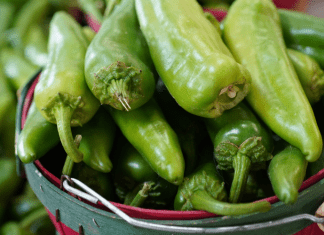A New Mexican’s Guide to Green Chile for the NEW New Mexican green chile