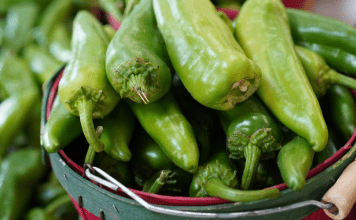 A New Mexican’s Guide to Green Chile for the NEW New Mexican green chile