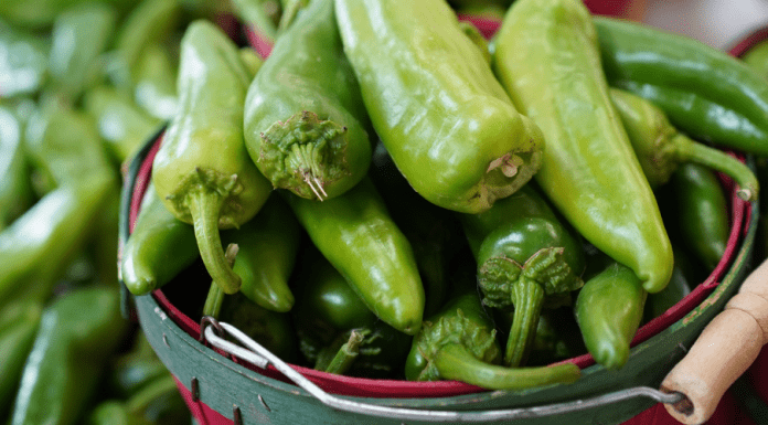A New Mexican’s Guide to Green Chile for the NEW New Mexican green chile