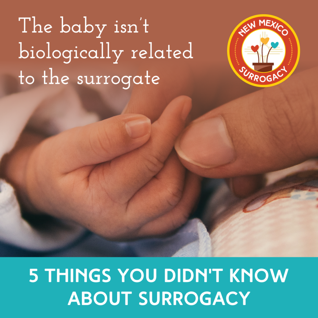 nm surrogacy albuquerque moms blog