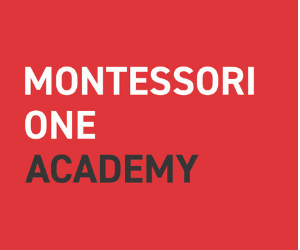 Montessori One 300x250