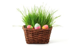 Albuquerque Easter Egg Hunts and Spring Events | Albuquerque Moms Blog