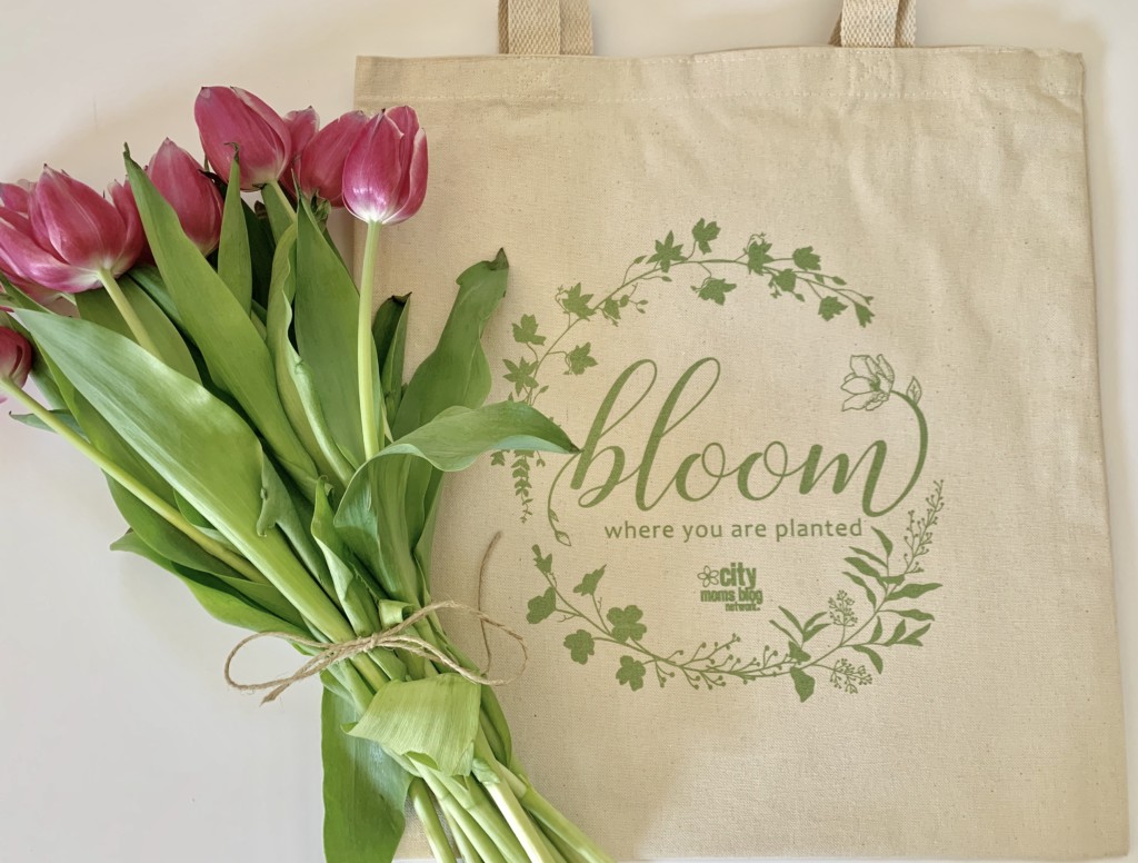 Bloom event, Albuquerque Moms Blog