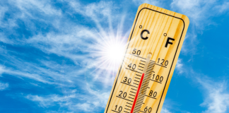 Staying Cool During the Summer :: Energy Saving Tips + Printable Bingo Game pnm beat the heat
