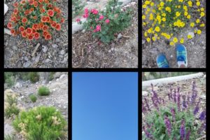 scavenger hunt outdoors, Albuquerque Moms Blog