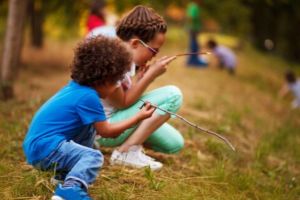 5 Nature Scavenger Hunts You Can Do Today!