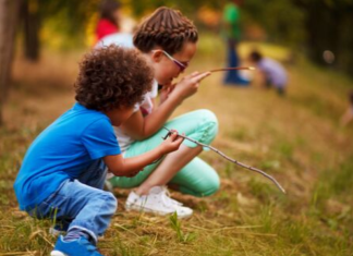 5 Nature Scavenger Hunts You Can Do Today!