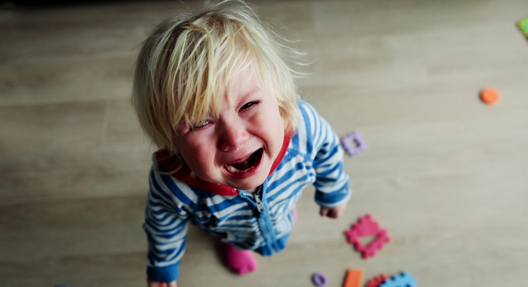 Reasons my Toddler is crying: helping our kids handle big emotions from ABQ moms blog