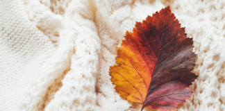Ultimate Guide to Fall in the Albuquerque Area Ultimate Guide to Fall, Albuquerque, New Mexico