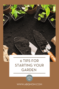 6 Tips for Starting Your Garden