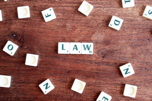 Law & Order :: Tips for Getting a Bill Passed in New Mexico || Albuquerque Mom Collective