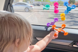 Road Trip Survival Guide With A Toddler