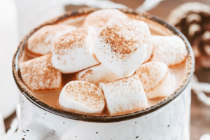 slow cooker hot chocolate