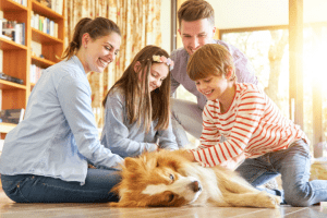 How to Train a Great Family Dog in 10 Minutes a Day