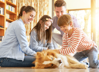 How to Train a Great Family Dog in 10 Minutes a Day How to Train a Great Family Dog in 10 Minutes a Day