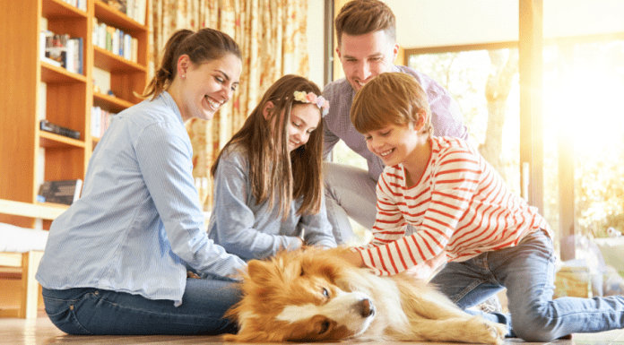 How to Train a Great Family Dog in 10 Minutes a Day How to Train a Great Family Dog in 10 Minutes a Day