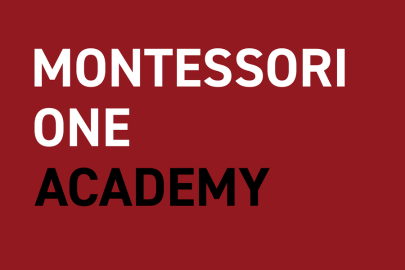 Montessori ONE New Logo