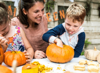 5 Ways to Recycle Your Halloween Pumpkins for Wildlife 5 Ways to Recycle Your Halloween Pumpkins for Wildlife
