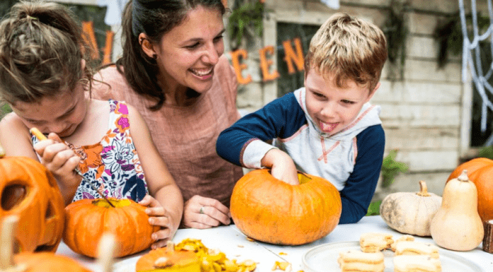5 Ways to Recycle Your Halloween Pumpkins for Wildlife 5 Ways to Recycle Your Halloween Pumpkins for Wildlife