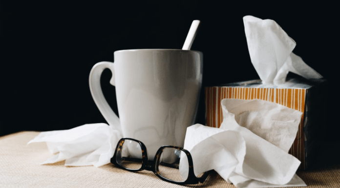 The $600 Cold :: Why It’s Important to Stay Home If You’re Sick The $600 Cold :: Why It’s Important to Stay Home If You’re Sick