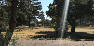 From Darkness to Light :: My Depression Journey From Darkness to Light :: My Depression Journey