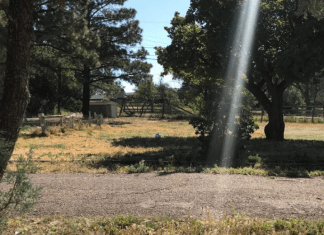 From Darkness to Light :: My Depression Journey From Darkness to Light :: My Depression Journey