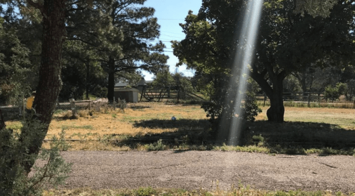 From Darkness to Light :: My Depression Journey From Darkness to Light :: My Depression Journey