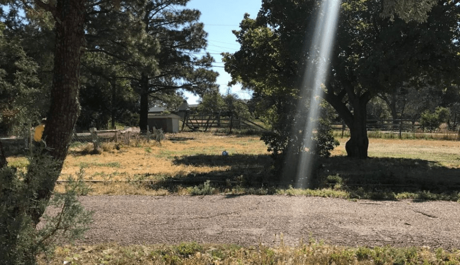 From Darkness to Light :: My Depression Journey