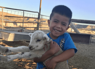 How I Keep My Navajo Culture Alive How I Keep My Navajo Culture Alive