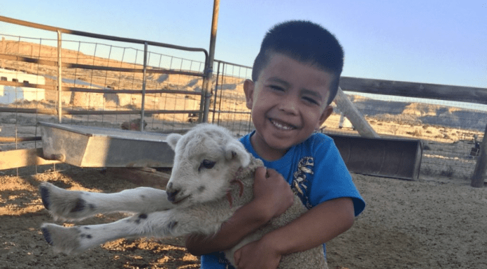How I Keep My Navajo Culture Alive How I Keep My Navajo Culture Alive