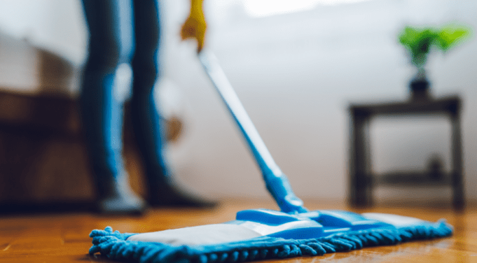 I Get Help Cleaning My House I Get Help Cleaning My House