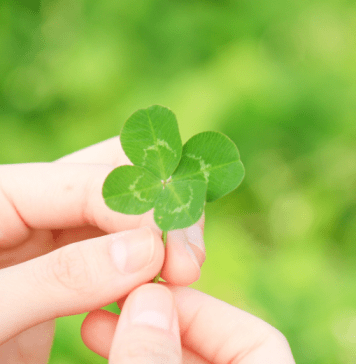 St. Patrick’s Day the Irish Way St. Patrick's Day the Irish Way